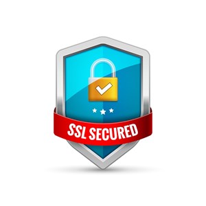 SSL secured.jpg